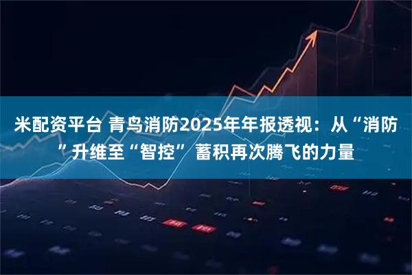米配资平台 青鸟消防2025年年报透视：从“消防”升维至“智控” 蓄积再次腾飞的力量