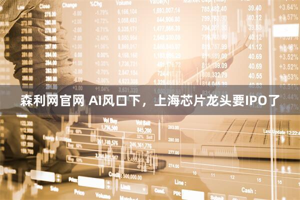森利网官网 AI风口下，上海芯片龙头要IPO了